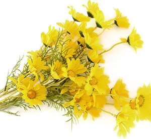 Artificial Daisy Flowers 6 Bundles 21 Faux Silk Daisy Flowers with Stems for Home Garden Vase Décor (Yellow) Artificial Daisy Flowers 6 Bundles 21 Faux Silk Daisy Flowers with Stems for Home Garden Vase Décor (Yellow)