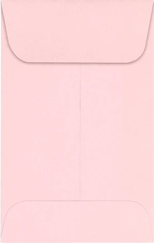 LUXPaper Coin Envelopes, Candy Pink, 2 1/4-Inch x 3 1/2-Inch, 50-Count LUXPaper Coin Envelopes, Candy Pink, 2 1/4-Inch x 3 1/2-Inch, 50-Count
