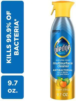 Everyday Multi Surface Antibacterial Aerosol Cleaner Fresh Citrus 9.7 oz, For Sealed Wood, Granite, Stainless Steel & Glass Everyday Multi Surface Antibacterial Aerosol Cleaner Fresh Citrus 9.7 oz, For Sealed Wood, Granite, Stainless Steel & Glass