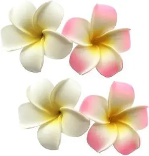 4Pcs White and Pink Hawaiian Frangipani Plumeria Foam Head Flower Clips,Bridal Wedding Party Beach Hair Clip Hair Clips Hair Accessories(7cm) 4Pcs White and Pink Hawaiian Frangipani Plumeria Foam Head Flower Clips,Bridal Wedding Party Beach Hair Clip Hair Clips Hair Accessories(7cm)