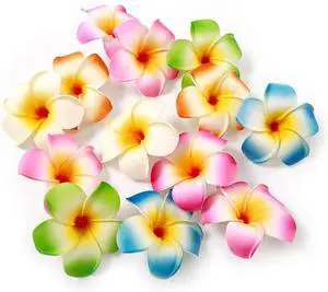 10Pcs Multicolor Hawaii Plumeria Flowers Clips Hawaiian Flower Hair Barrettes Beach Party Hair Clips Artificial Tropical Flowers Hairpins for Beauty and Personal Care Wedding 7cmClip and Barrettes 10Pcs Multicolor Hawaii Plumeria Flowers Clips Hawaiian Flower Hair Barrettes Beach Party Hair Clips Artificial Tropical Flowers Hairpins for Beauty and Personal Care Wedding 7cmClip and Barrettes
