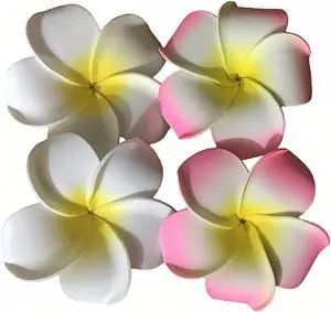 4 Pcs 7cm Hawaiian Frangipani Plumeria Foam Hair Clips, Head Flower Party Beach Hair Clips - White and Pink 4 Pcs 7cm Hawaiian Frangipani Plumeria Foam Hair Clips, Head Flower Party Beach Hair Clips - White and Pink