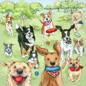 Boston International IHR 3-Ply Paper Napkins Everyday Designs, 20-Count Cocktail Size, Dog Park Runners Boston International IHR 3-Ply Paper Napkins Everyday Designs, 20-Count Cocktail Size, Dog Park Runners