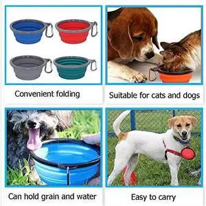 2 Pack,12 oz Collapsible Silicone Dog Bowls,Foldable Travel Dog Feeder with Plastic Rim and D-Ring,Portable Basic Dog Bowl,Foldable Feeding Watering pet Supplies (Green) 2 Pack,12 oz Collapsible Silicone Dog Bowls,Foldable Travel Dog Feeder with Plastic Rim and D-Ring,Portable Basic Dog Bowl,Foldable Feeding Watering pet Supplies (Green)
