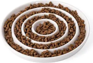 Ceramic Cat Slow Feeder,Shallow and Wide Opening Dish for Whisker Friendly,Anti Knocked Over Heavy Plate Bowls for Puppy Kitten Dry and Wet Food Ceramic Cat Slow Feeder,Shallow and Wide Opening Dish for Whisker Friendly,Anti Knocked Over Heavy Plate Bowls for Puppy Kitten Dry and Wet Food