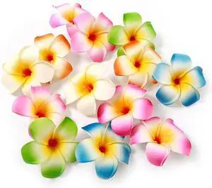 10 Pcs Multicolor Hawaii Plumeria Flower Clips Hawaiian Flower Hair Barrettes Beach Party Hair Clips Artificial Tropical Hairpins for Wedding 7cm and Barrettes 10 Pcs Multicolor Hawaii Plumeria Flower Clips Hawaiian Flower Hair Barrettes Beach Party Hair Clips Artificial Tropical Hairpins for Wedding 7cm and Barrettes