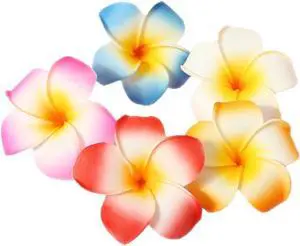 GSHLLO 10 Pcs 7cm Multicolor Hawaiian Hair Clip Beach Foam Flower Headpieces for Wedding Party Accessories GSHLLO 10 Pcs 7cm Multicolor Hawaiian Hair Clip Beach Foam Flower Headpieces for Wedding Party Accessories