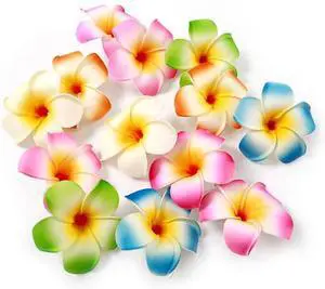 10 Pcs Colorful Hawaii Plumeria Flower Clips Hawaiian Flower Hair Barrettes Beach Party Hair Clips Artificial Tropical Hairpins for Wedding Hair Clips 10 Pcs Colorful Hawaii Plumeria Flower Clips Hawaiian Flower Hair Barrettes Beach Party Hair Clips Artificial Tropical Hairpins for Wedding Hair Clips