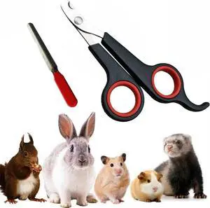 Rabbit Nail Clippers and Trimmers Stainless Steel Pet Claw Grinding Scissors for Small Breeds Cats Guinea Pig Puppy Ferret Hamsters Chinchilla Sugar Glider Grooming Tool Set (Black) Rabbit Nail Clippers and Trimmers Stainless Steel Pet Claw Grinding Scissors for Small Breeds Cats Guinea Pig Puppy Ferret Hamsters Chinchilla Sugar Glider Grooming Tool Set (Black)