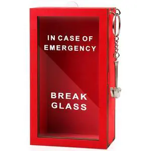 WenmthG Emergency Box, Self-Defined Idea Jar with Hammer, Break in Case of Emergency, Desk Decor, Personalized Gag Gift for Friends and Coworkers WenmthG Emergency Box, Self-Defined Idea Jar with Hammer, Break in Case of Emergency, Desk Decor, Personalized Gag Gift for Friends and Coworkers