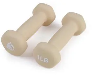 LIONSCOOL Set of 2 Neoprene Coated Hex Dumbbell Hand Weights, Anti-Slip Anti-Roll Pair for Strength Training LIONSCOOL Set of 2 Neoprene Coated Hex Dumbbell Hand Weights, Anti-Slip Anti-Roll Pair for Strength Training