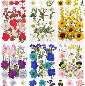 106Pcs Compressed Dried Natural Flowers and Leaves for Resin 106Pcs Compressed Dried Natural Flowers and Leaves for Resin