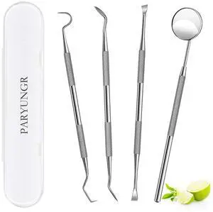 Stainless Steel Dental Pick Tooth Scraper Tartar Plaque Remover Kit with Storage Box - Professional Teeth Cleaning Oral Care Hygiene Tool for Dentist, Personal, Pet Use Stainless Steel Dental Pick Tooth Scraper Tartar Plaque Remover Kit with Storage Box - Professional Teeth Cleaning Oral Care Hygiene Tool for Dentist, Personal, Pet Use