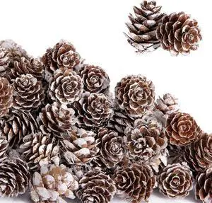 150 Pcs Christmas Natural Mini Pine Cones - Small Xmas Snow Pinecones Decor | 1" Thanksgiving Mini Snow Pinecones Ornaments for DIY Crafts Vase Fillers Fall Winter Home Xmas Tree Decor 150 Pcs Christmas Natural Mini Pine Cones - Small Xmas Snow Pinecones Decor | 1" Thanksgiving Mini Snow Pinecones Ornaments for DIY Crafts Vase Fillers Fall Winter Home Xmas Tree Decor