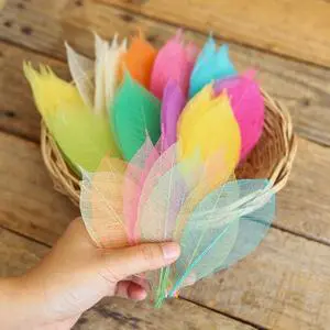 Mixed Colors 4-5 Inches 100 PCS Natural Skeleton Leaves, Real Rubber Tree Leaf Veins for Resin Art, Scrapbooking, Card Making, Wedding Decorations and DIY Crafts(Mixed Colors) Mixed Colors 4-5 Inches 100 PCS Natural Skeleton Leaves, Real Rubber Tree Leaf Veins for Resin Art, Scrapbooking, Card Making, Wedding Decorations and DIY Crafts(Mixed Colors)
