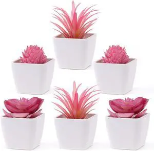 Woration 6Pcs Mini Artificial Pink Plastic Succulent Fake Plants Potted | Faux Succulents in White Pots, No watering needed, desk office home decor, Floral arrangement craft Woration 6Pcs Mini Artificial Pink Plastic Succulent Fake Plants Potted | Faux Succulents in White Pots, No watering needed, desk office home decor, Floral arrangement craft
