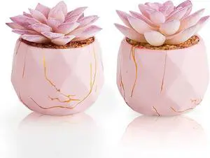 ZENIDA Artificial Succulent Plants in 2 Pink Ceramic Pots, Cute Fake Plants for Vanity Decor,Office, Desk, Bathroom, Kitchen,Bedroom, Shelves Decor for Women,Girls Gift ZENIDA Artificial Succulent Plants in 2 Pink Ceramic Pots, Cute Fake Plants for Vanity Decor,Office, Desk, Bathroom, Kitchen,Bedroom, Shelves Decor for Women,Girls Gift