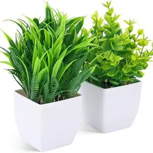 DomeStar 2 PCS Small Fake Plants Potted | Indoor Office Desk, Apartment Wedding Tabletop, Greenery Decorations DomeStar 2 PCS Small Fake Plants Potted | Indoor Office Desk, Apartment Wedding Tabletop, Greenery Decorations