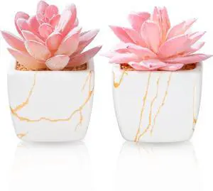 Taybonds Artificial Succulent in 2PCS White Ceramic Pot, Small Fake Succulents Plants for Office and Desk Decor,Bathroom, Bedroom, Shelves, Vanity for Women Taybonds Artificial Succulent in 2PCS White Ceramic Pot, Small Fake Succulents Plants for Office and Desk Decor,Bathroom, Bedroom, Shelves, Vanity for Women
