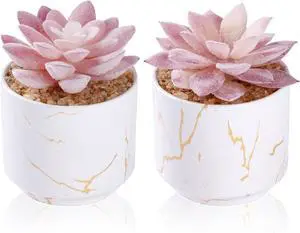 ZENIDA Artificial Plants and Succulents in 2 White Ceramic Pots,Small Fake Plants for Office and Desk Decor,Bathroom, Bedroom,Shelves for Women ZENIDA Artificial Plants and Succulents in 2 White Ceramic Pots,Small Fake Plants for Office and Desk Decor,Bathroom, Bedroom,Shelves for Women