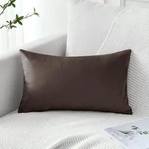 Artscope Luxury Velvet Pillow Covers Decorative Rectangle Pillowcases Soft Solid Cushion Cases for Couch Sofa Bedroom Car Decor 16x24 Inch Chocolate Brown Artscope Luxury Velvet Pillow Covers Decorative Rectangle Pillowcases Soft Solid Cushion Cases for Couch Sofa Bedroom Car Decor 16x24 Inch Chocolate Brown
