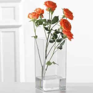 Acrylic Cylinder Vase, Thick Vase, Non-Breakable Plastic, Decorative Centerpiece for Home or Wedding, 3.94"x7.87" Square - Clear Acrylic Cylinder Vase, Thick Vase, Non-Breakable Plastic, Decorative Centerpiece for Home or Wedding, 3.94"x7.87" Square - Clear