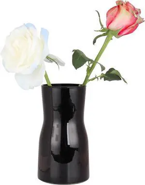 Black Glass Vases for Flowers-Clear Glass Vase for Centerpieces Large Vases for Flowers Dried Flower Home Decor Living Room Kitchen Office Wedding (Black) Black Glass Vases for Flowers-Clear Glass Vase for Centerpieces Large Vases for Flowers Dried Flower Home Decor Living Room Kitchen Office Wedding (Black)