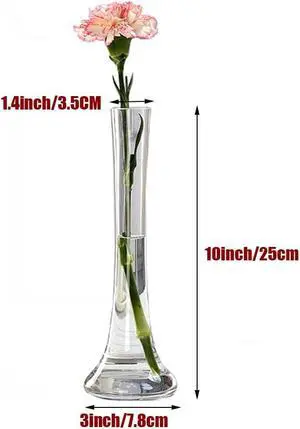 Clear Glass Bud Vase 9.8 Inch Tall Round Bottom Floral Container for Wedding Party Home Office Decor 1 Piece Clear Glass Bud Vase 9.8 Inch Tall Round Bottom Floral Container for Wedding Party Home Office Decor 1 Piece