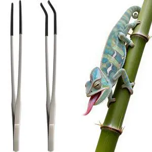 2 Pcs Extra Long Stainless Steel Reptile Feeding Tongs 10.6 IN with Soft Rubber Tip Straight & Curved Tweezers for Bearded Dragon, Tank Accessories, Lizards, Terrarium, Aquarium, Leopard Gecko 2 Pcs Extra Long Stainless Steel Reptile Feeding Tongs 10.6 IN with Soft Rubber Tip Straight & Curved Tweezers for Bearded Dragon, Tank Accessories, Lizards, Terrarium, Aquarium, Leopard Gecko