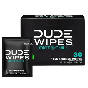 DUDE Wipes On-The-Go Mint Chill Adult Flushable Travel Wipes, 30 Count DUDE Wipes On-The-Go Mint Chill Adult Flushable Travel Wipes, 30 Count