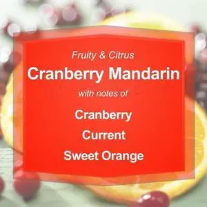 Large Glass Container Scented Candle, Cranberry Mandarin Aroma, Perfect for Bedroom, Kitchen and Everyday Indoor Ambiance Large Glass Container Scented Candle, Cranberry Mandarin Aroma, Perfect for Bedroom, Kitchen and Everyday Indoor Ambiance