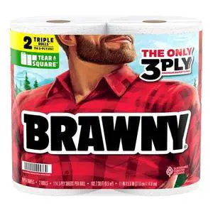 3Ply TearASquare Paper Towels 2Roll Pack, CustomSize Sheets, HighStrengthAbsorbency For Household SpillAndMess Cleaning 3Ply TearASquare Paper Towels 2Roll Pack, CustomSize Sheets, HighStrengthAbsorbency For Household SpillAndMess Cleaning