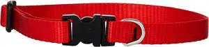 LupinePet Basics 1/2" Red 10-16" Adjustable Collar for Small Dogs LupinePet Basics 1/2" Red 10-16" Adjustable Collar for Small Dogs