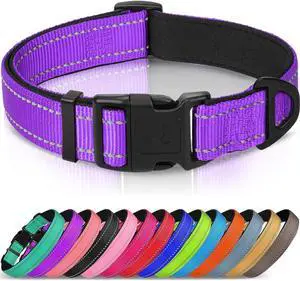 Joytale Reflective Dog Collar, Adjustable Neoprene Padded, Purple M | Breathable Nylon for Medium Dogs, No Chafing on Walks and Backyard Play, All-Day Comfort, Metal D-Ring, Night Safety Joytale Reflective Dog Collar, Adjustable Neoprene Padded, Purple M | Breathable Nylon for Medium Dogs, No Chafing on Walks and Backyard Play, All-Day Comfort, Metal D-Ring, Night Safety
