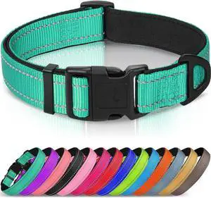 Joytale Reflective Dog Collar, Adjustable Neoprene Padded, Teal L | Breathable Nylon for Large Dogs, No Chafing on Walks and Outdoor Hikes, Tear-Resistant Webbing, Metal D-Ring, Night Safety Joytale Reflective Dog Collar, Adjustable Neoprene Padded, Teal L | Breathable Nylon for Large Dogs, No Chafing on Walks and Outdoor Hikes, Tear-Resistant Webbing, Metal D-Ring, Night Safety
