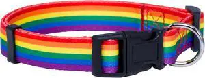 Native Pup Rainbow Flag Dog Collar Gay Pride Stuff for Parade, LGBTQ Flags Equality Pet Apparel Decor Gift and LGBT Ally Accessories (Small) Native Pup Rainbow Flag Dog Collar Gay Pride Stuff for Parade, LGBTQ Flags Equality Pet Apparel Decor Gift and LGBT Ally Accessories (Small)