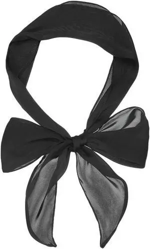 Allegra K Women Plain Solid Color Pure Skinny Scarf Scarves Long Neckerchief Hair Band Allegra K Women Plain Solid Color Pure Skinny Scarf Scarves Long Neckerchief Hair Band