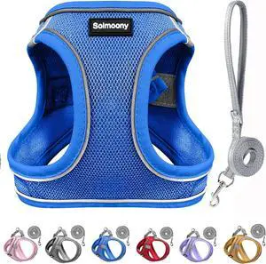 Solmoony Sparkly XXS Dog Harness and Leash Set, Step in Soft Light Puppy Vest, Breathable Reflective Pet Harness for Walking, Puppy Harness for Small Dogs Cats (Blue, XXS) Solmoony Sparkly XXS Dog Harness and Leash Set, Step in Soft Light Puppy Vest, Breathable Reflective Pet Harness for Walking, Puppy Harness for Small Dogs Cats (Blue, XXS)