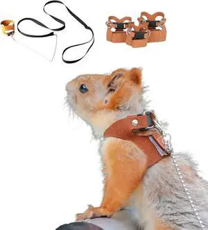 3 Pack Squirrel Harness and Leash Set - Adjustable Soft Leather & Traction Rope Strap Anti-Biting Chainfor Small Pet Walk Jogging Bearded Dragon Reptile Squirrel Rat 3 Pack Squirrel Harness and Leash Set - Adjustable Soft Leather & Traction Rope Strap Anti-Biting Chainfor Small Pet Walk Jogging Bearded Dragon Reptile Squirrel Rat