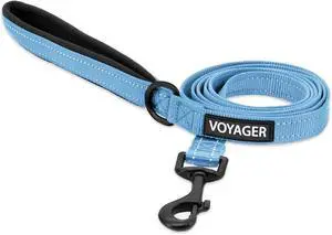 Best Pet Supplies Voyager Nylon Dog Leash - Baby Blue, Small | 5ft in Length, 5/8" in Width, Reflective, Soft Neoprene Handle, Heavy Duty Metal Clips for Running, Walking & Training Best Pet Supplies Voyager Nylon Dog Leash - Baby Blue, Small | 5ft in Length, 5/8" in Width, Reflective, Soft Neoprene Handle, Heavy Duty Metal Clips for Running, Walking & Training