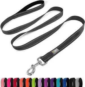 6 FT Basic Dog Leash for Medium Dogs,Black | Padded Handle,Metal D-Ring,Heavy Duty Nylon Webbing, for Walking & Training 6 FT Basic Dog Leash for Medium Dogs,Black | Padded Handle,Metal D-Ring,Heavy Duty Nylon Webbing, for Walking & Training
