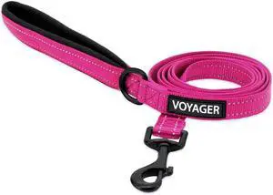 Best Pet Supplies Voyager Nylon Dog Leash - Fuchsia, Small | 5ft in Length, 5/8" in Width, Reflective, Soft Neoprene Handle, Heavy Duty Metal Clips for Running, Walking & Training Best Pet Supplies Voyager Nylon Dog Leash - Fuchsia, Small | 5ft in Length, 5/8" in Width, Reflective, Soft Neoprene Handle, Heavy Duty Metal Clips for Running, Walking & Training