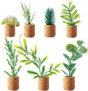 Joyibay Plant Fridge Magnets Mini Succulent Magnets Artificial Plants Refrigerator Magnets Potted Succulent Plants Magnet Stickers Cute for Magnet Boards Fridge Home Office Decor Joyibay Plant Fridge Magnets Mini Succulent Magnets Artificial Plants Refrigerator Magnets Potted Succulent Plants Magnet Stickers Cute for Magnet Boards Fridge Home Office Decor