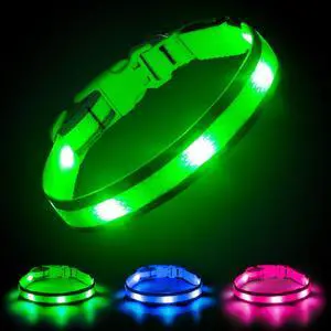 Illumifun Light Up Dog Collar - USB Rechargeable Dog Light Glow in the Dark - High Visibility LED Dog Collar for Night Walking (Medium, Fluorescent Green) Illumifun Light Up Dog Collar - USB Rechargeable Dog Light Glow in the Dark - High Visibility LED Dog Collar for Night Walking (Medium, Fluorescent Green)