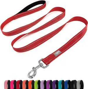 6 FT Basic Dog Leash for Medium Dogs,Red | Padded Handle,Metal D-Ring,Heavy Duty Nylon Webbing, for Walking & Training 6 FT Basic Dog Leash for Medium Dogs,Red | Padded Handle,Metal D-Ring,Heavy Duty Nylon Webbing, for Walking & Training