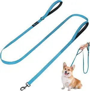 Dog Leash for Small to Medium Dogs 6 ft with 3 Reflective Stitching and 2 Traffic Padded Handles Dog Lead/Rope, Pet Leash for Running Walking Training (6 ft x 0.6 in - Blue 1 Pack) Dog Leash for Small to Medium Dogs 6 ft with 3 Reflective Stitching and 2 Traffic Padded Handles Dog Lead/Rope, Pet Leash for Running Walking Training (6 ft x 0.6 in - Blue 1 Pack)