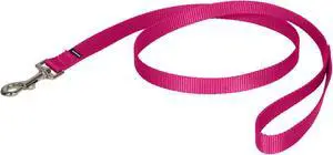 PetSafe Nylon Dog Leash, Raspberry Pink, 3/4 in x 4 ft | Durable Nylon Leash with Easy on/off Bolt Snap Hook, Pairs Perfectly with Easy Walk Harness and Gentle Leader Headcollar PetSafe Nylon Dog Leash, Raspberry Pink, 3/4 in x 4 ft | Durable Nylon Leash with Easy on/off Bolt Snap Hook, Pairs Perfectly with Easy Walk Harness and Gentle Leader Headcollar