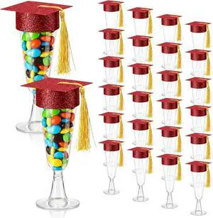 Ziliny 24 Set Graduation Plastic Champagne Flutes with Mini Graduation Cap Topper for Class of 2026 Grad Party Decoration Ziliny 24 Set Graduation Plastic Champagne Flutes with Mini Graduation Cap Topper for Class of 2026 Grad Party Decoration