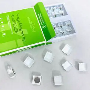 15Pcs Fridge MagnetsLocker Decor Magnets,Cute Glass Decorative Magnets for Refrigerator Whiteboard Office Kitchen,Strong Holding Power,White 15Pcs Fridge MagnetsLocker Decor Magnets,Cute Glass Decorative Magnets for Refrigerator Whiteboard Office Kitchen,Strong Holding Power,White