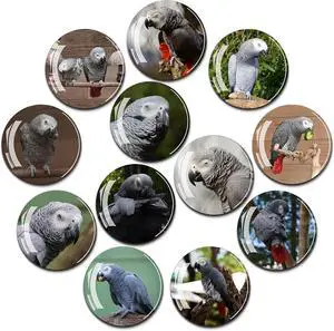 12Pcs Glass Strong Magnetic Refrigerator Magnet Fridge Sticker - Cute Dog Crystal Fridge Magnets Decoration,Office Whiteboard Magnets for Home Decor Crafts (Grey Parrot) 12Pcs Glass Strong Magnetic Refrigerator Magnet Fridge Sticker - Cute Dog Crystal Fridge Magnets Decoration,Office Whiteboard Magnets for Home Decor Crafts (Grey Parrot)